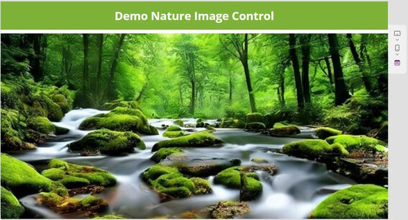 Configure image properties